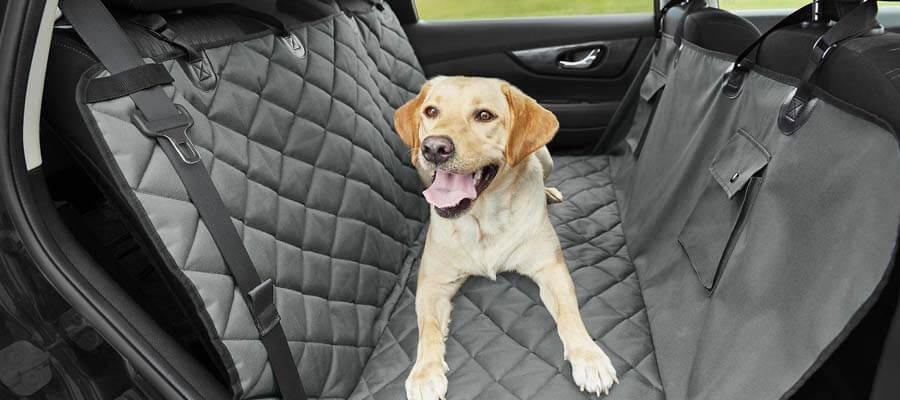 Best Dog Car Seat Covers