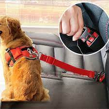 Which dog car belt and harness to buy?