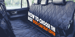 Things to Consider Before Selecting Dog Car Seat Covers