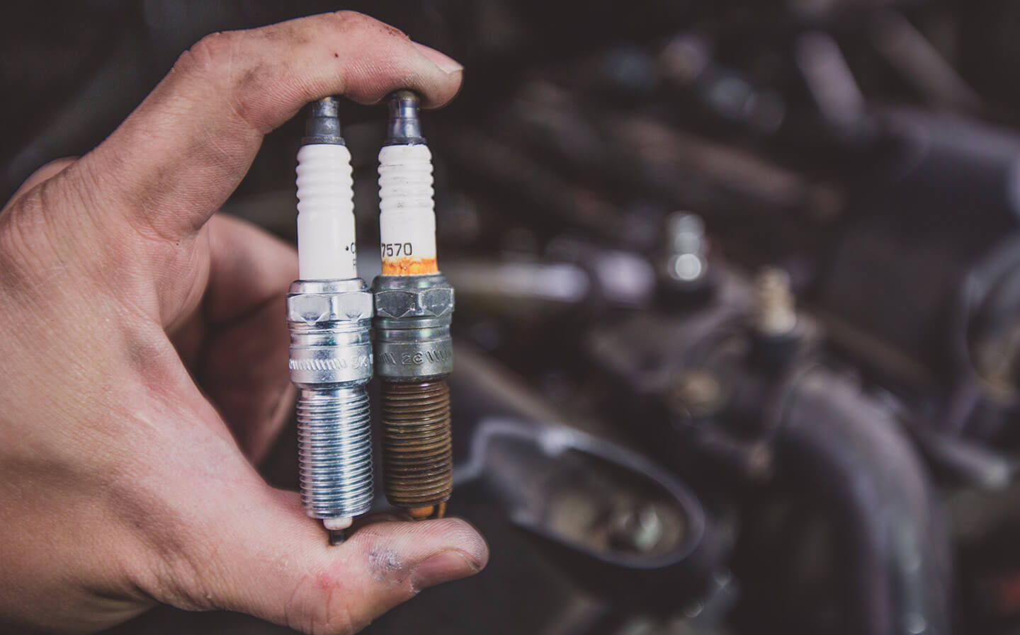 remove the spark plugs and fuse